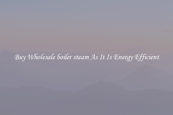 Buy Wholesale boiler steam As It Is Energy Efficient