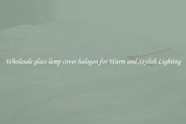 Wholesale glass lamp cover halogen for Warm and Stylish Lighting