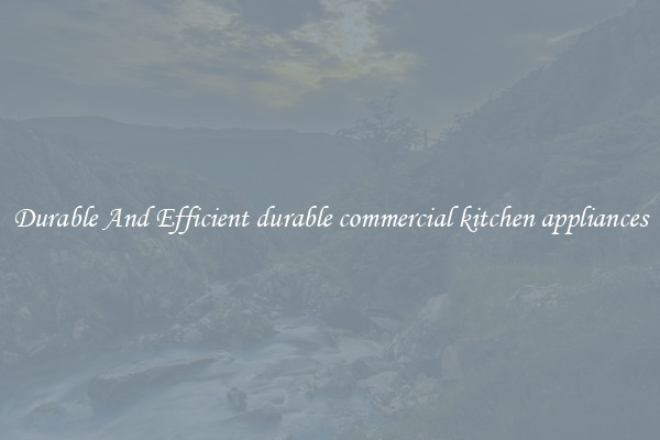 Durable And Efficient durable commercial kitchen appliances