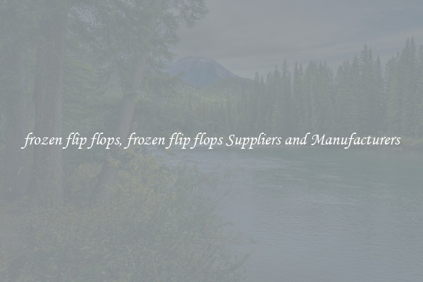 frozen flip flops, frozen flip flops Suppliers and Manufacturers
