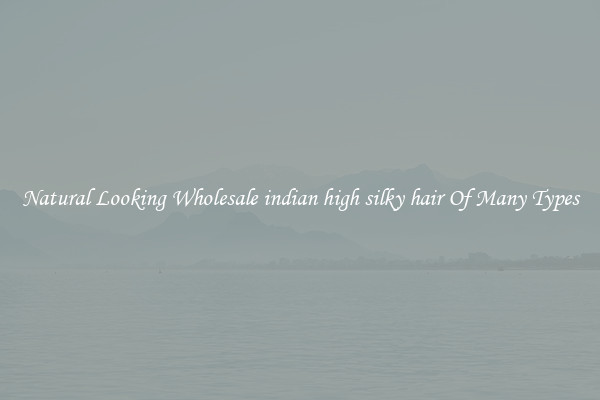 Natural Looking Wholesale indian high silky hair Of Many Types