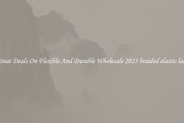 Great Deals On Flexible And Durable Wholesale 2023 braided elastic lace