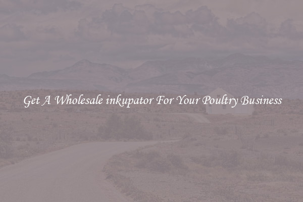 Get A Wholesale inkupator For Your Poultry Business