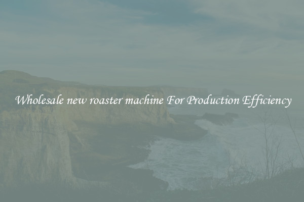Wholesale new roaster machine For Production Efficiency