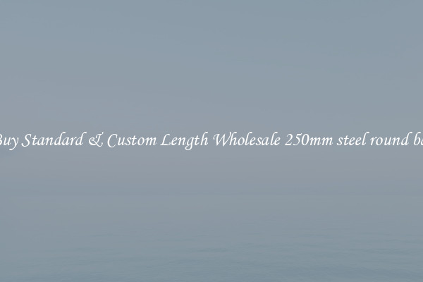 Buy Standard & Custom Length Wholesale 250mm steel round bar
