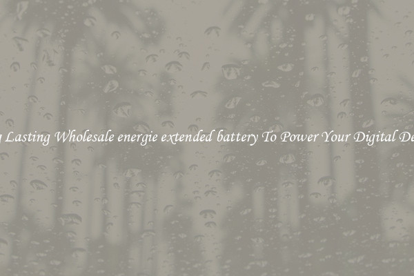 Long Lasting Wholesale energie extended battery To Power Your Digital Devices