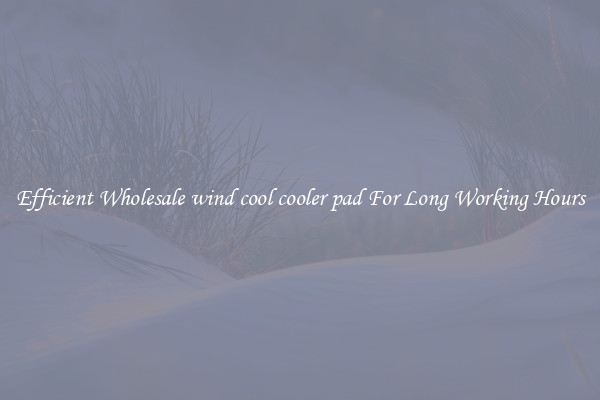 Efficient Wholesale wind cool cooler pad For Long Working Hours