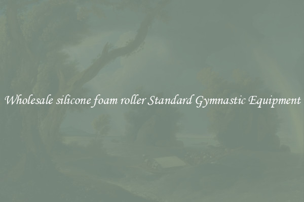 Wholesale silicone foam roller Standard Gymnastic Equipment