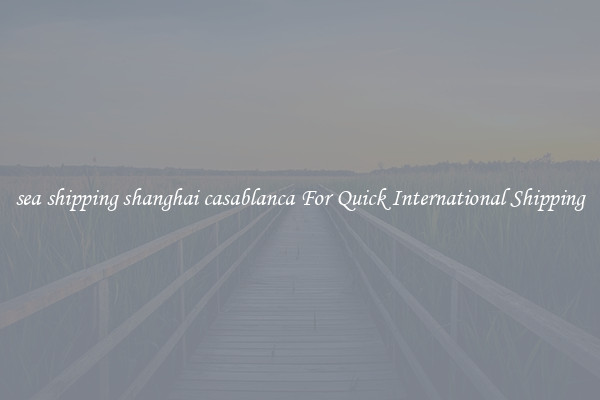 sea shipping shanghai casablanca For Quick International Shipping