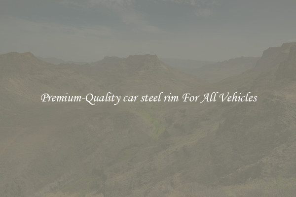 Premium-Quality car steel rim For All Vehicles