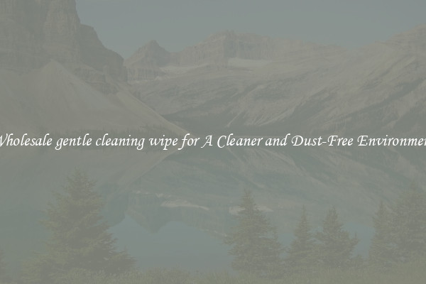 Wholesale gentle cleaning wipe for A Cleaner and Dust-Free Environment