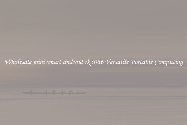 Wholesale mini smart android rk3066 Versatile Portable Computing