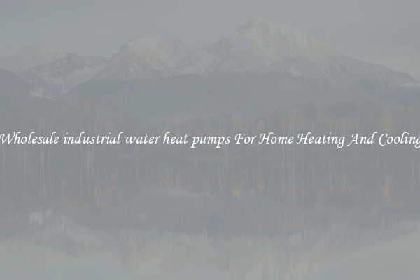 Wholesale industrial water heat pumps For Home Heating And Cooling