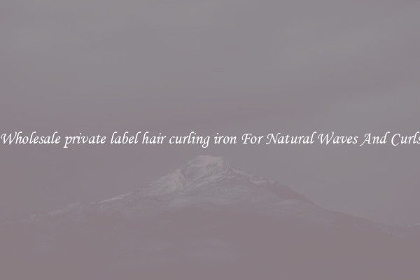Wholesale private label hair curling iron For Natural Waves And Curls