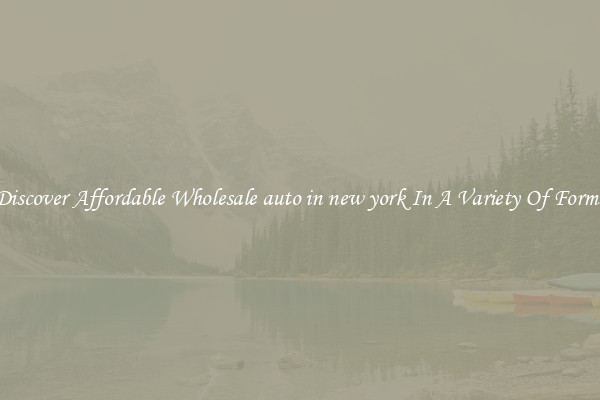Discover Affordable Wholesale auto in new york In A Variety Of Forms
