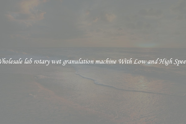 Wholesale lab rotary wet granulation machine With Low and High Speeds