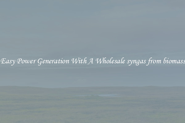 Easy Power Generation With A Wholesale syngas from biomass