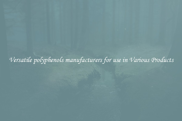 Versatile polyphenols manufacturers for use in Various Products