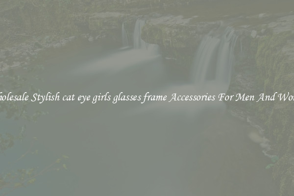 Wholesale Stylish cat eye girls glasses frame Accessories For Men And Women