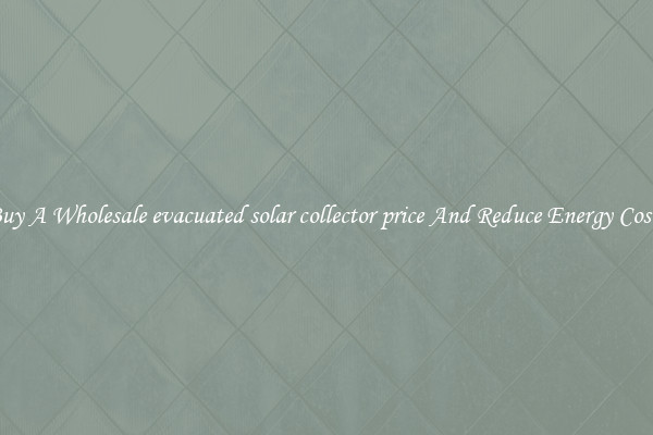 Buy A Wholesale evacuated solar collector price And Reduce Energy Costs